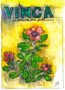 Vincas at the Pool