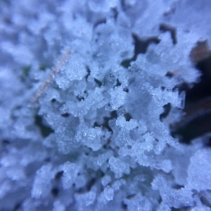 Cold