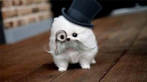 Our fearless mascot!