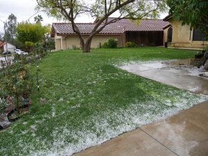 Image of snow that has fallen on the grass of a front yard