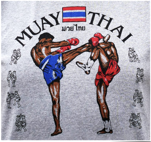 An image of 2 Muay Thai fighters using legs and gloves in fighting