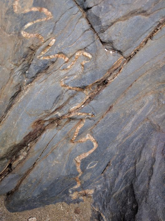 Anza rock closeup