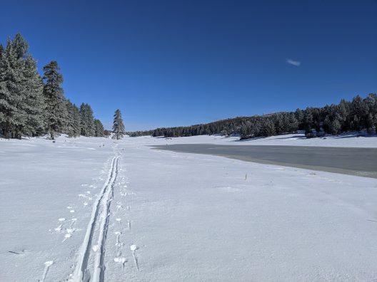 Snow in Mount Laguna Recreation Area