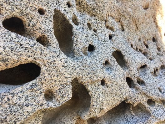 Tafoni weathering on a rock
