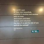 Iceland Quote
