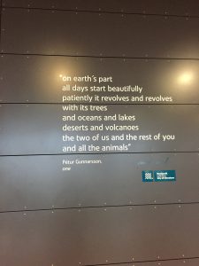 Iceland Quote