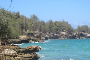 Hawaii shoreline